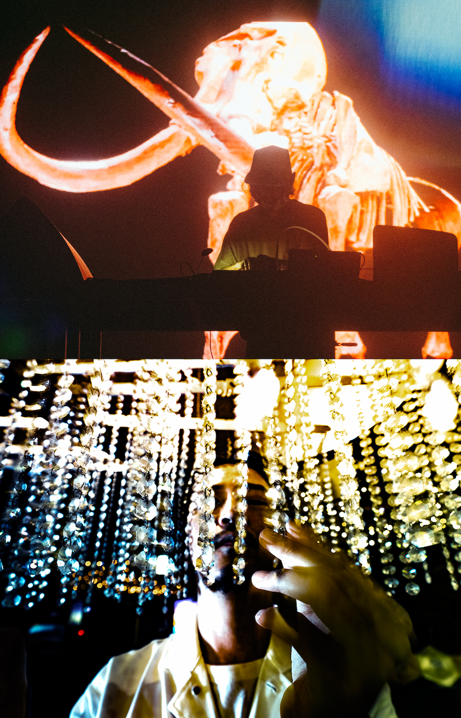 Image of ∈Y∋ & C.O.L.O